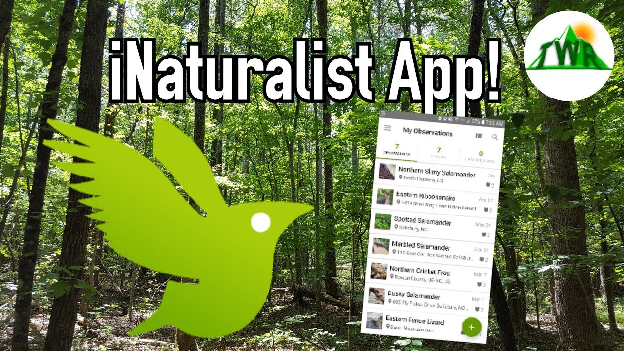 Complete Scientific Research In Your Own Back Yard With iNaturalist!