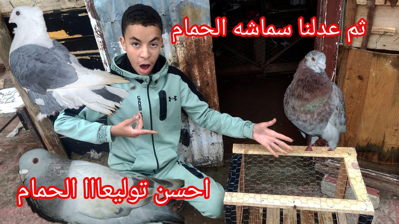 فيديو جديد 💯 وعندلنا شماشة الحمام 😱😯 او احسن توليعة في الحمام مرحبا بكم جميعا 