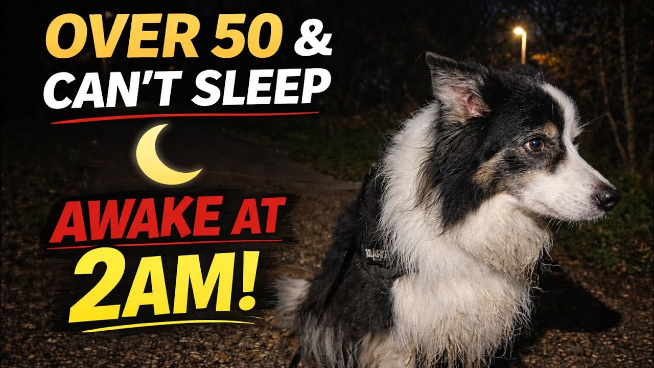 Over 50 and Awake at 2AM Again… | Insomnia, Stress & A Quiet Walk with My Dog