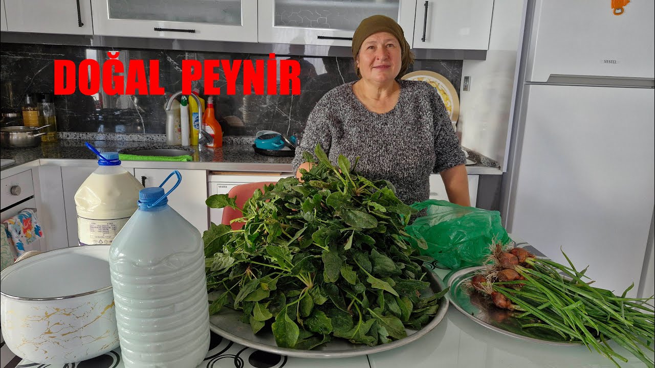 KÖYDE DOĞAL YAŞAM PEYNİR NASIL YAPILIR HATİCE HANIM TAZE SÜTTEN VE BOL ISBANAK