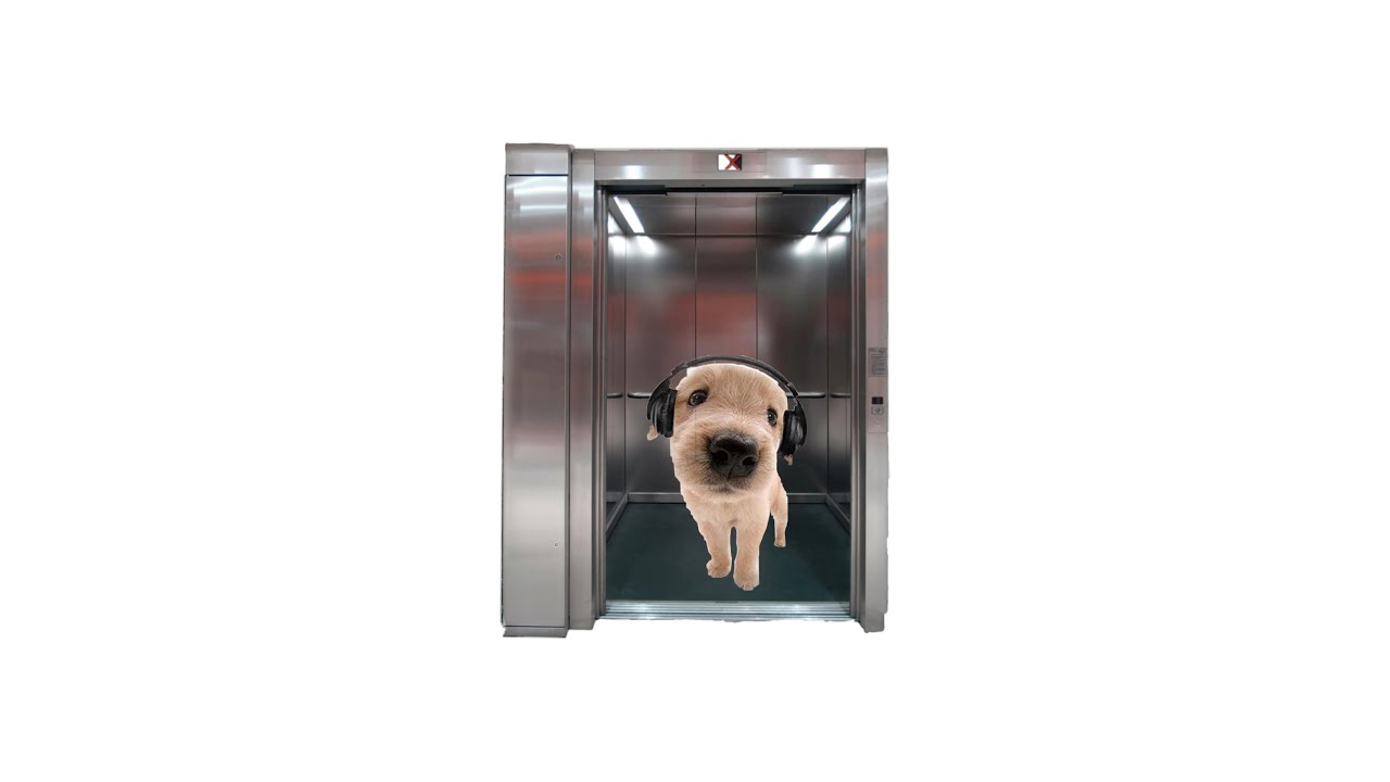fun and chill elevator videogame music ♡