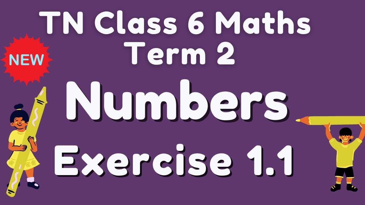 TN Class 6 Term 2 Exercise 1.1 Full Numbers AlexMaths