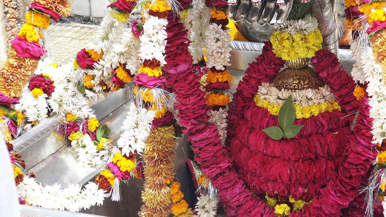 Kashi Vishwanath  Darshan and Shayan Aarti