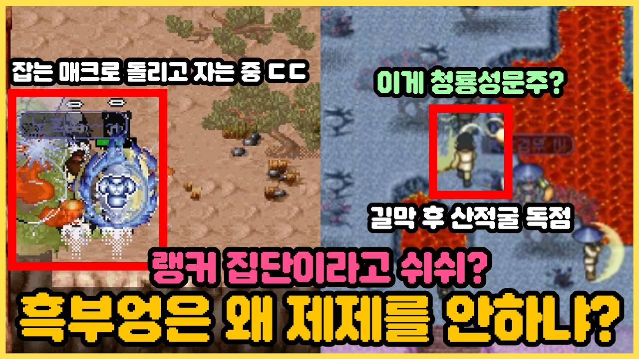 흑부엉 과연 이건 어떻게 대처를 할까?