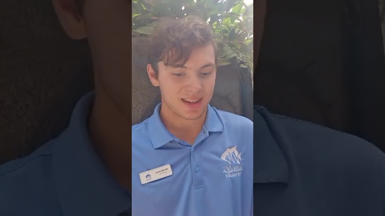 Ripley's Aquarium of Myrtle Beach Interview