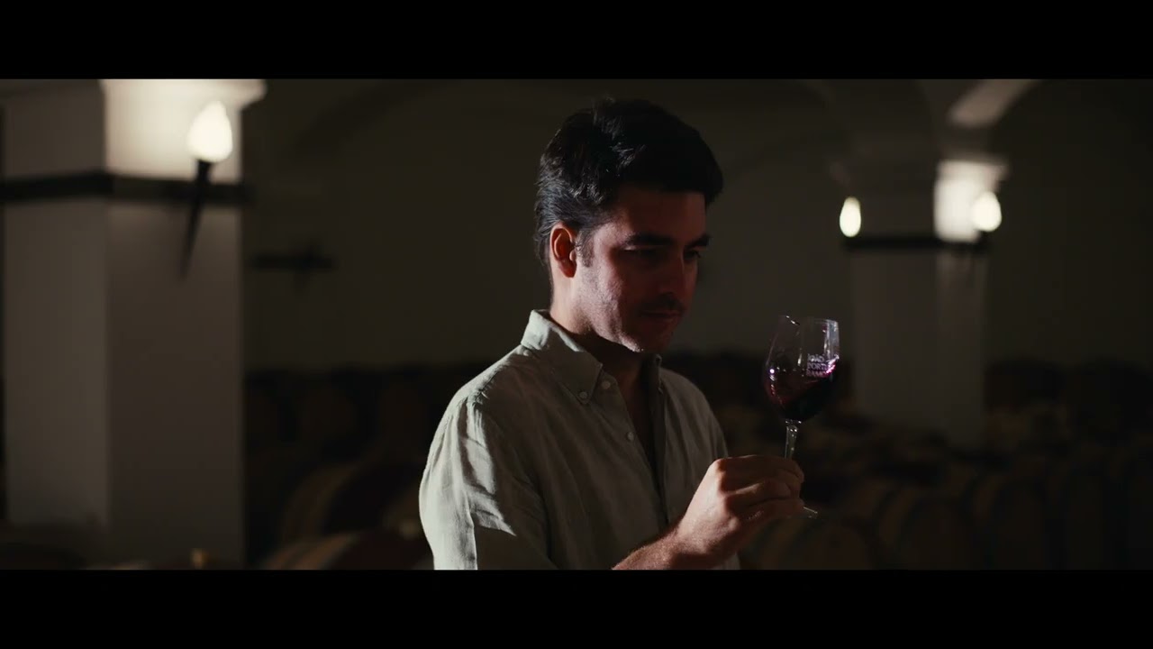 [EN] 🍷🌿 Wines of Alentejo - Naturally Selected, Naturally Unique.