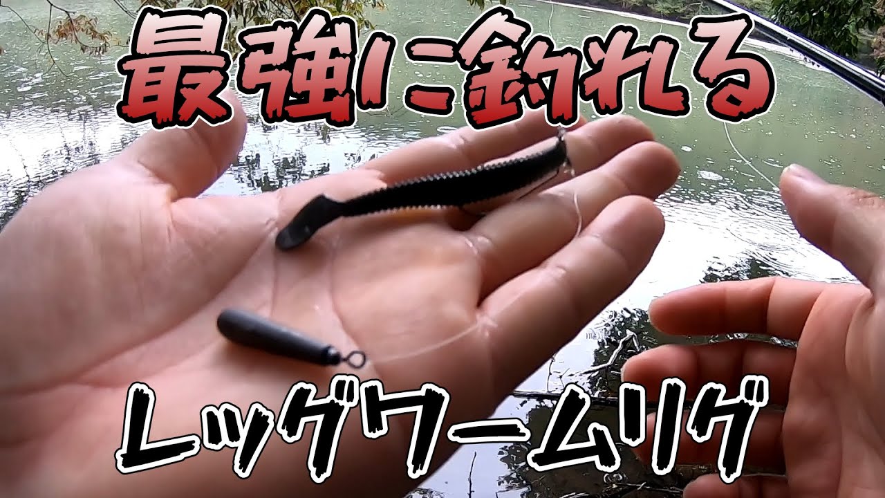 【レッグワーム】ふっつーに超釣れる【リアクションダウンショット】