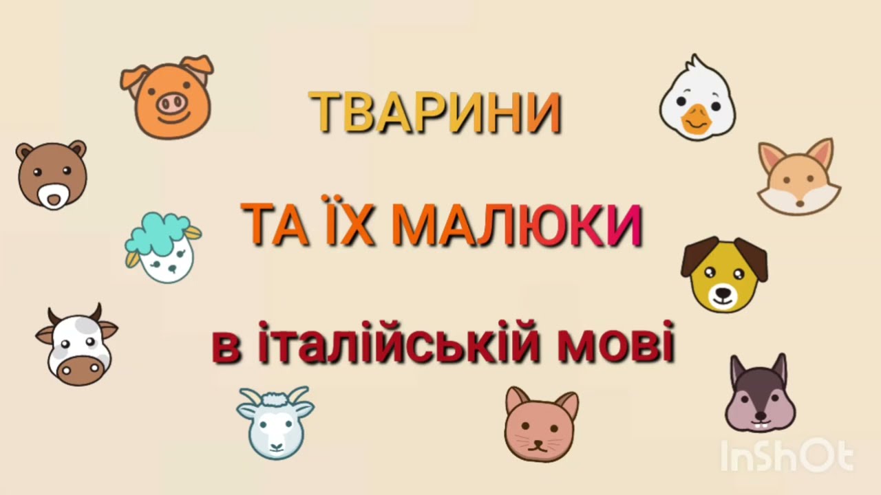 13 лютого 2026 р.