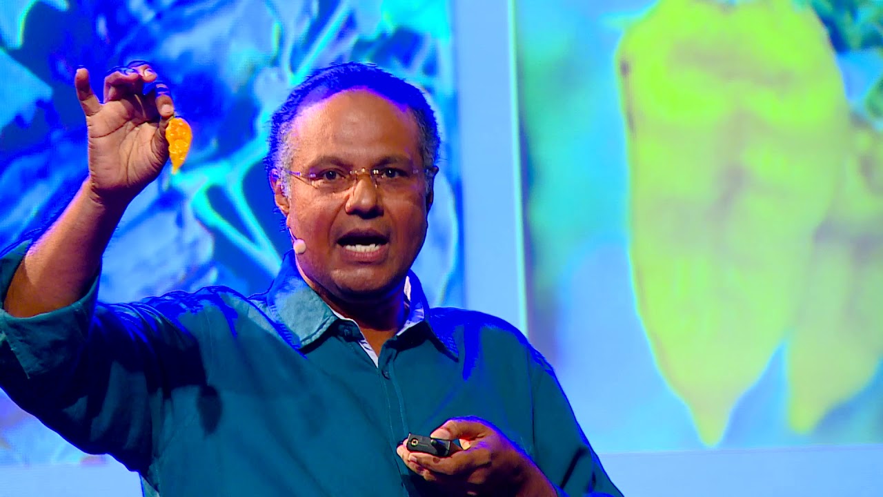 Let's Save the Vegetables! | Dr. Prabhakar Rao | TEDxLavelleRoad