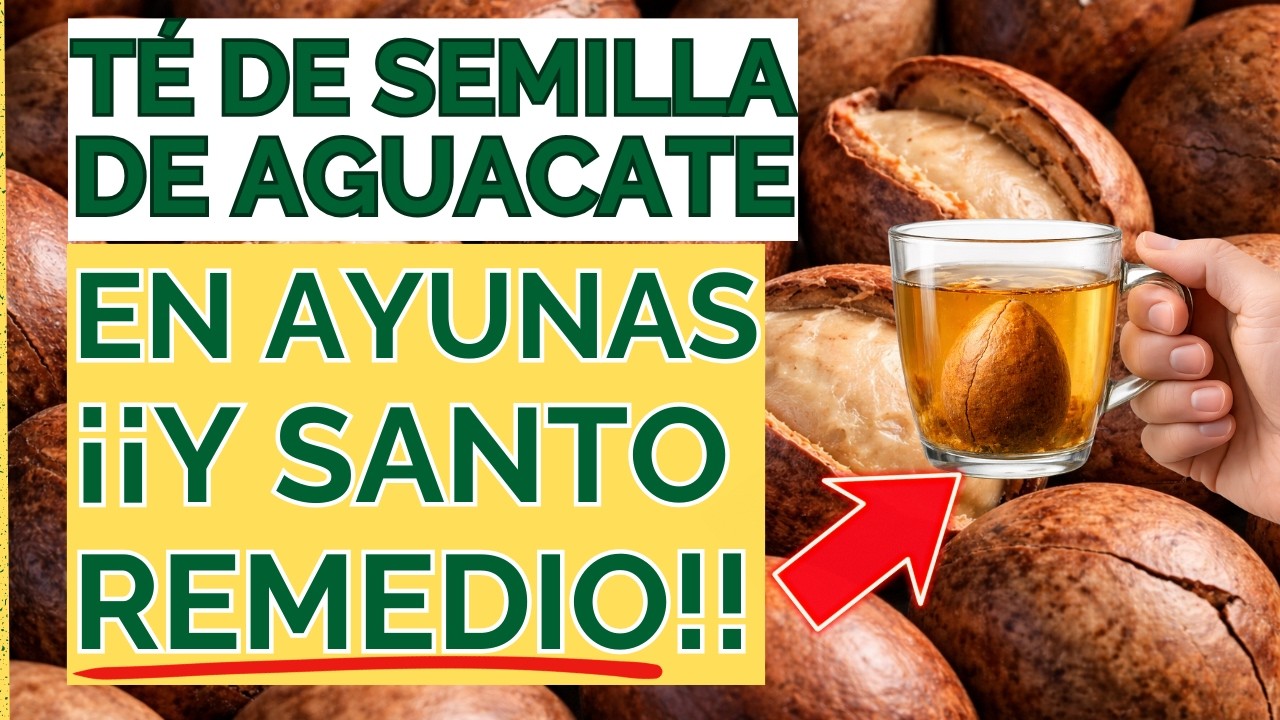🥑 TÉ de SEMILLA de AGUACATE: Para Qué Sirve y Qué Enfermedades Combate