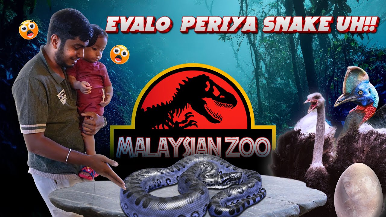 Nirav SNAKE ah Thotutaan!😱 - WildLife Park in Langkawi😳🔥