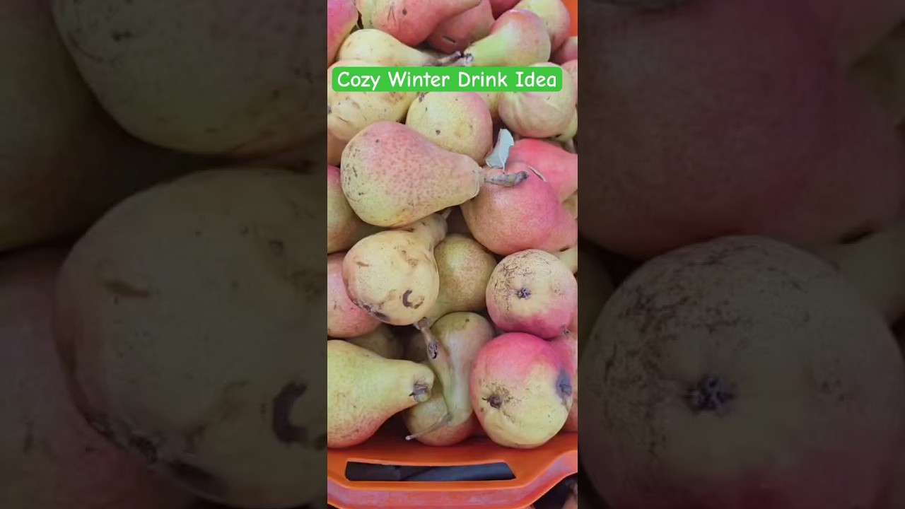 Cozy Winter Drink Idea #Recipe #EasyCooking #WinterDrinks #CompoteRecipe #FruitCompote
