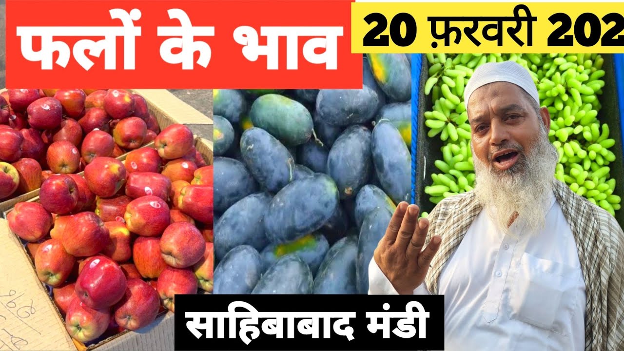 20 February 2026 फलो का भाव साहिबाबाद मंडी 🍎 || Today Fruits Rate in Sahibabad Mandi 