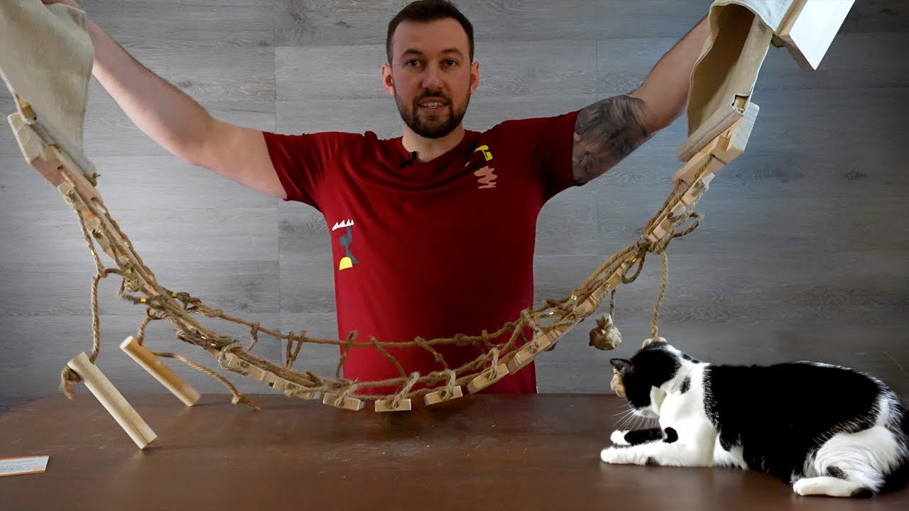 Calmbee Cat's Bridge: A Must-Have for Every Cat Owner