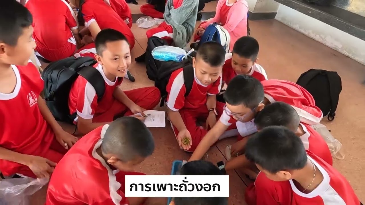 ทักษะอาชีพชั้นประถมศึกษาปีที่ 5 โรงเรียนศรีจอมทอง กุมภาพันธ์ 2569