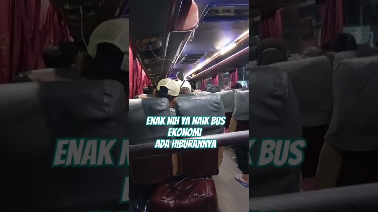 enak nya naik bus ekonomi ada hiburannya #bus #busmania #buspariwisata #busekonomi