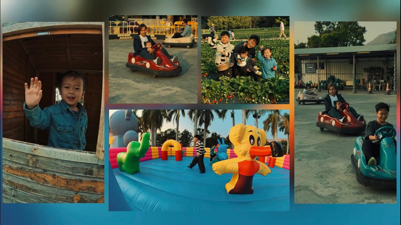 Strawberry farm || kam tin country club || Hong Kong 