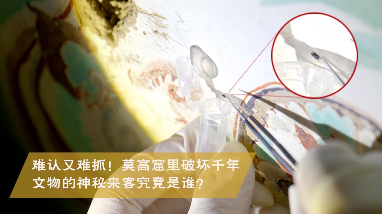《敦煌师父》第二季 EP02 完整版丨难认又难抓！莫高窟里破坏千年文物的神秘来客究竟是谁？