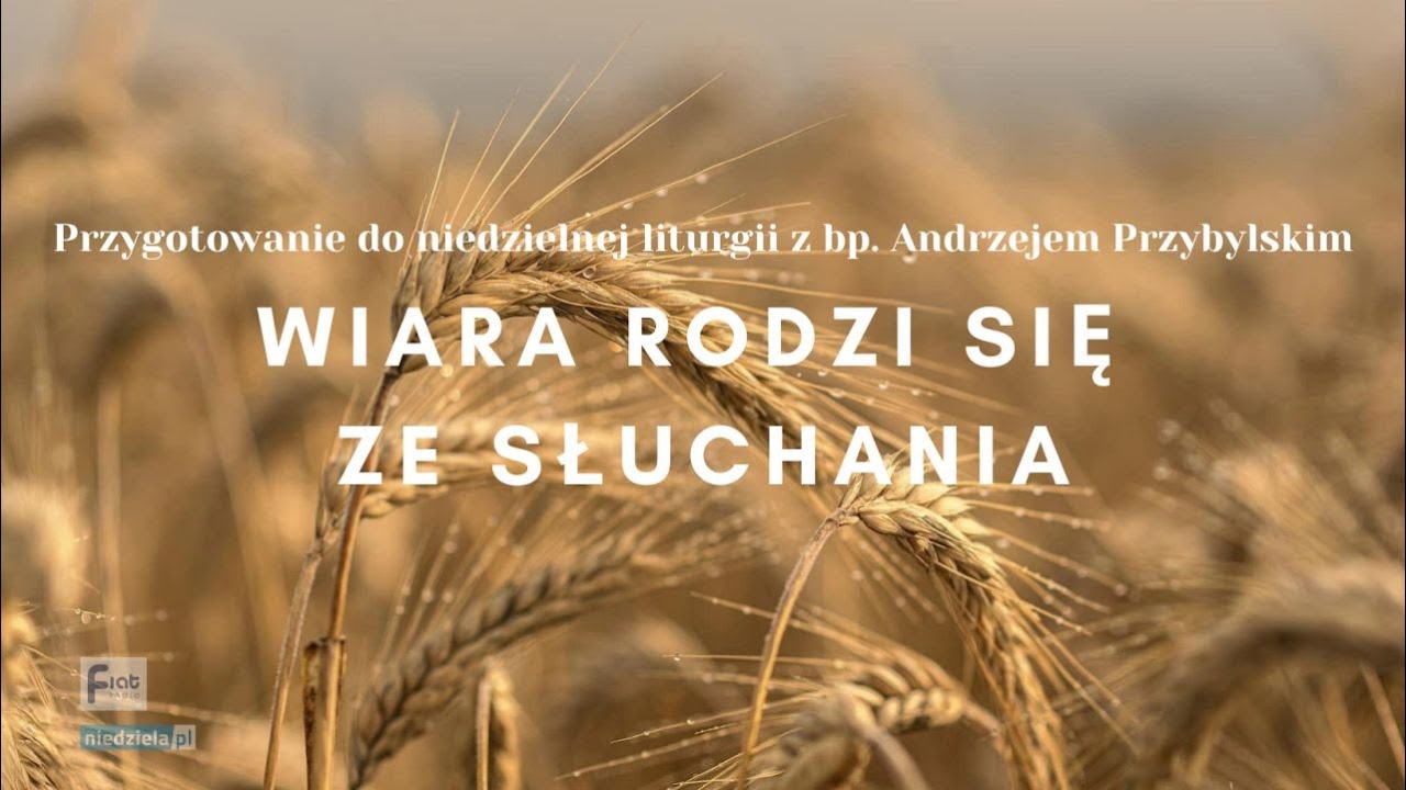 Jak używać rzeczy przemijających? - XVII Niedziela Zwykła - 28 lipca 2024