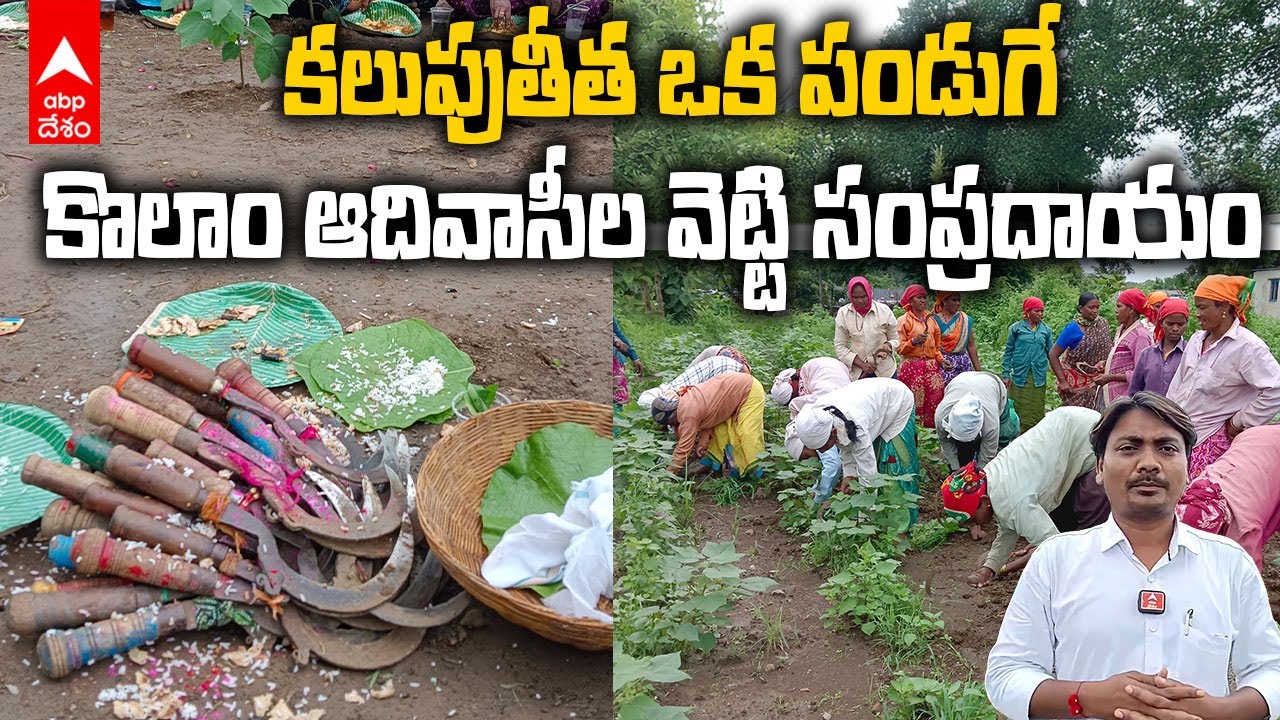 Adilabad Tribals Vetti Festival | కొలాం ఆదివాసీలు ఎక్కడున్నా..ఏడాదిలో ఓసారి ఇలా చేస్తారు | ABP Desam
