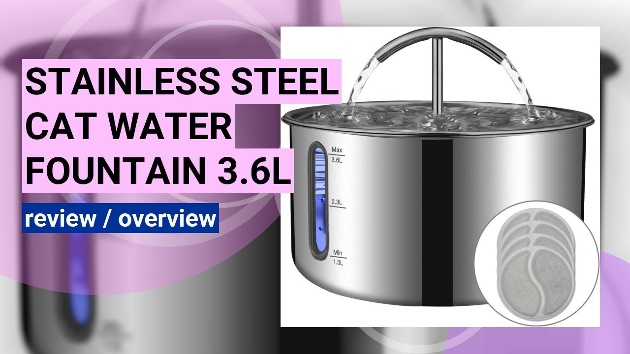 Review: Large Capacity Stainless Steel Cat Water Fountain for Multiple Pets