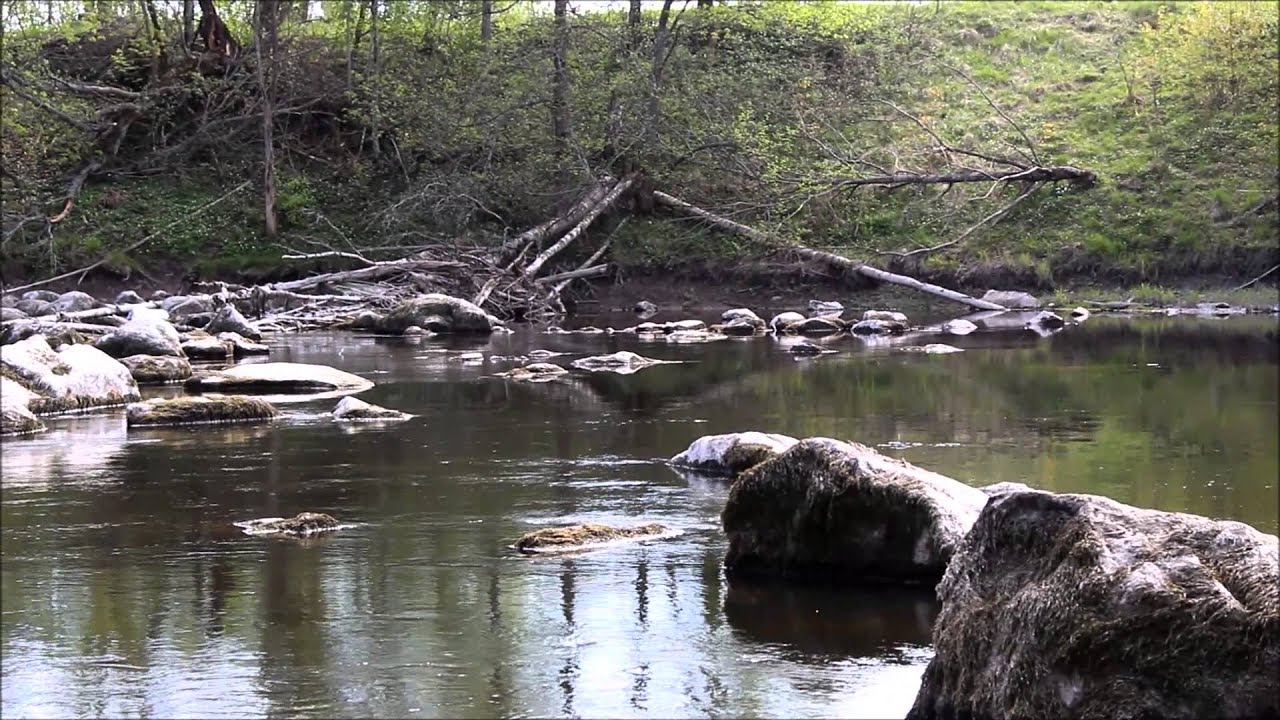 Flyfishing with sörqvarnforsens Sportfiske
