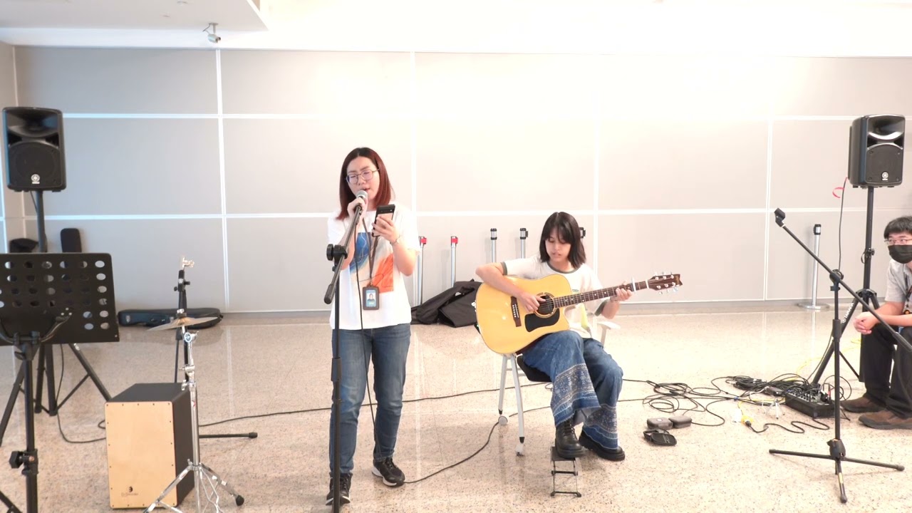 Passenger &ndash; Let Her Go, Covered by MusiTek