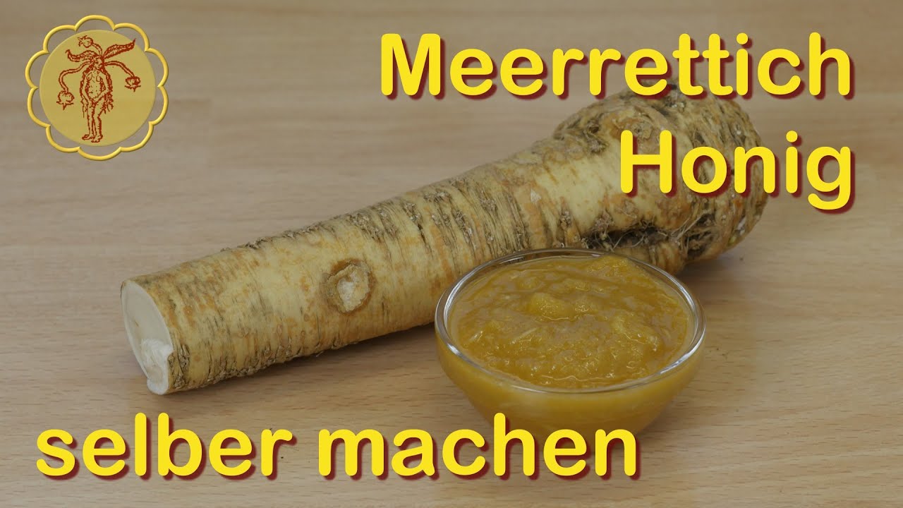 Hausmittel: Meerrettich-Honig gegen Bronchitis selber machen