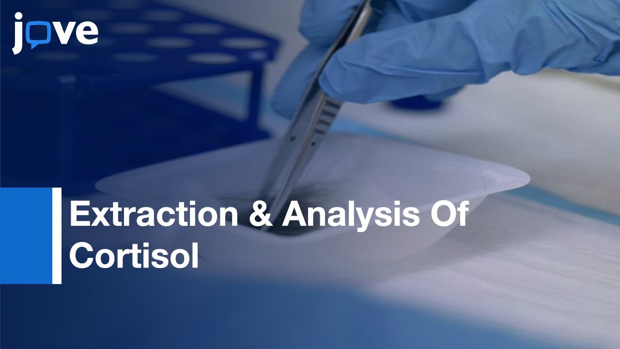 Extraction & Analysis Of Cortisol From Human & Monkey Hair l Protocol Preview