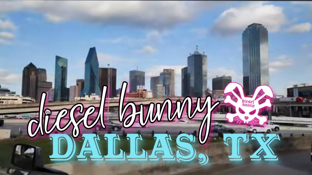 Diesel Bunny Trucking Through Dallas, Texas!