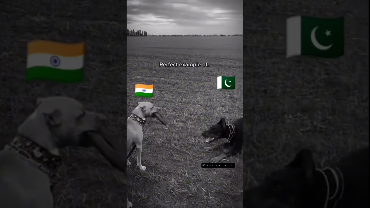 India vs Pakistan #india #indian #respect #pakistan #trollface #troll #operationsindoor #shorts