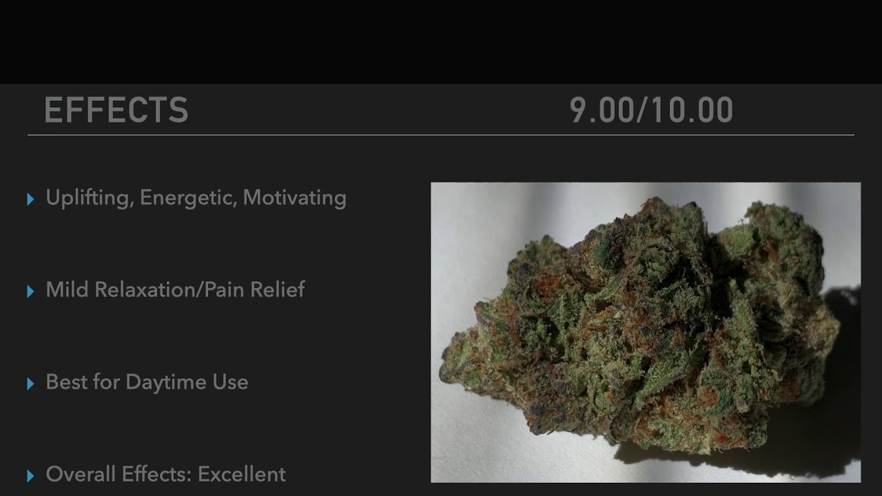 FLMCC Minute Reviews: GrowHealthy - Jilly Bean Flower