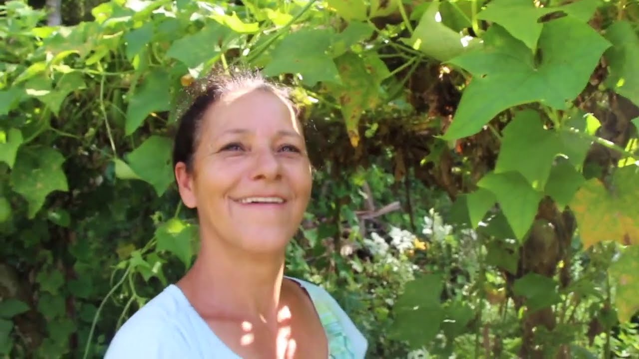 MARGARIDA APRONTOU MINHAS MUDAS