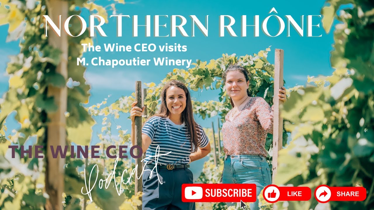 Wines from the Northern Rhône with M Chapoutier