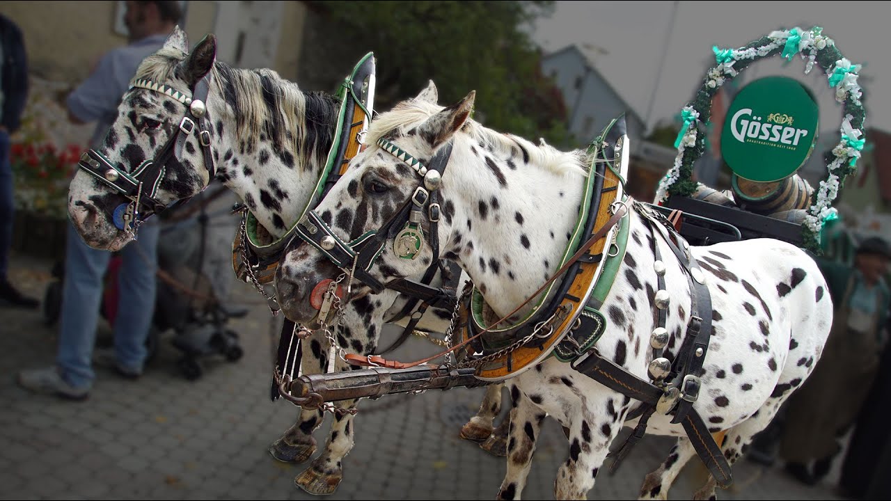 39. Marktfest in Kalwang