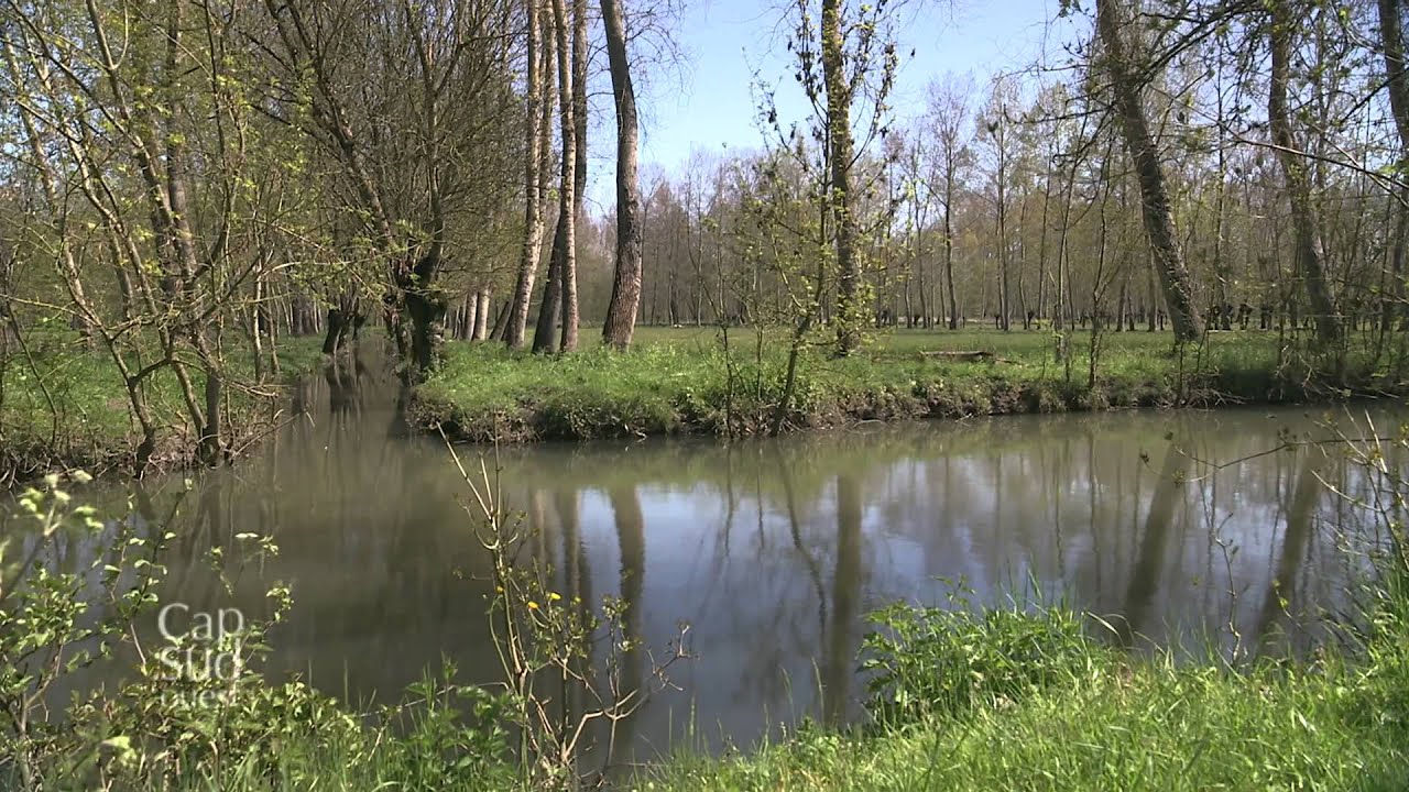 Cap Sud Ouest : 