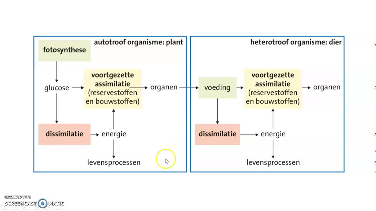 21.4 Glucose als grondstof