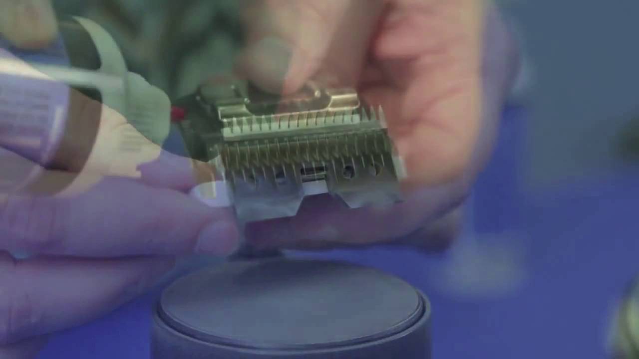 Master Grooming Tools 3