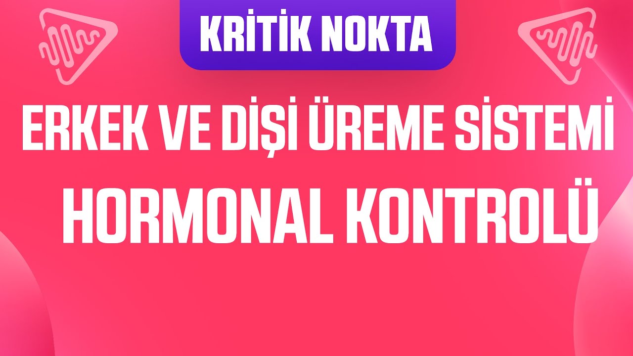 ÖSYM SORDU! ERKEK VE DİŞİ ÜREME SİSTEMİ HORMONAL KONTROLÜ