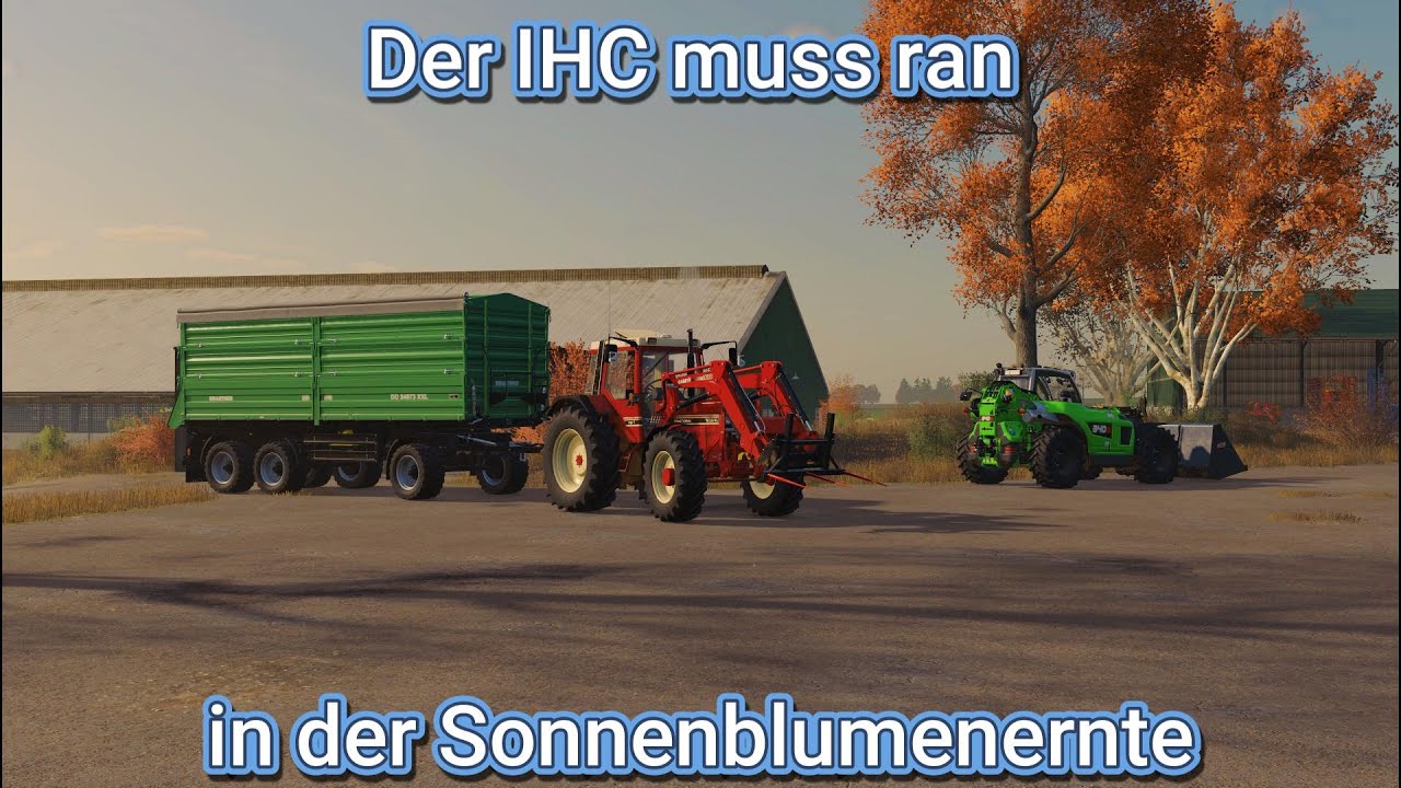 LS25 Schwesing Bahnhof#40 -Der IHC muss ran in der Sonnenblumenernte-💪🔥