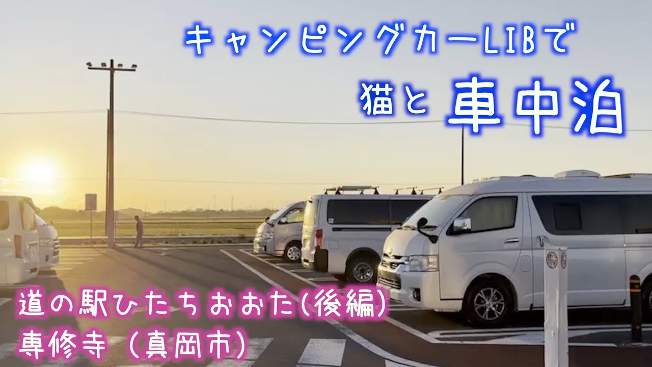 【キャンピングカーで猫と車中泊】道の駅ひたちおおた／専修寺（真岡市）