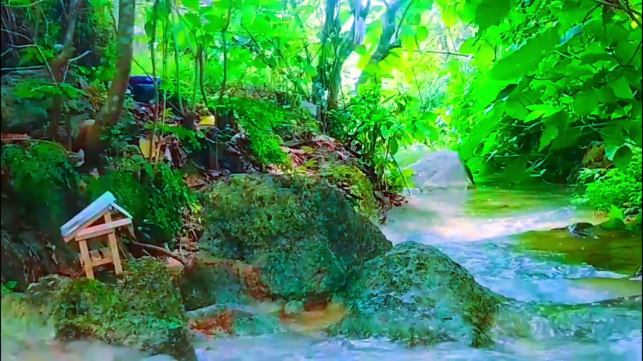 Natural and beutiful