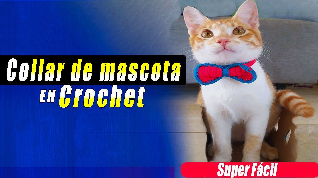 🎀 Como hacer Collar de lazo para PERROS y GATOS / TEJIDO A CROCHET🐶💖🐱