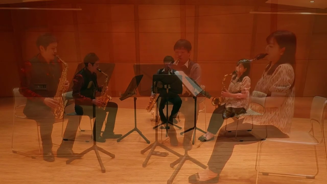 プリムラ ／  加藤大輝　　　　　　　　　　　　Primula  ／  Daiki  KATO