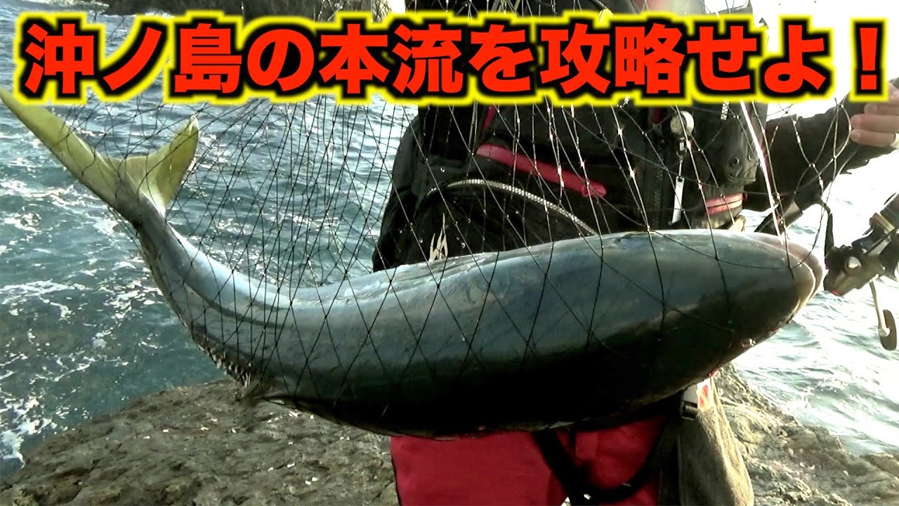 【カゴ釣り】ヒラマサが潜むタナを見つけるには!?上カゴ？底カゴ？