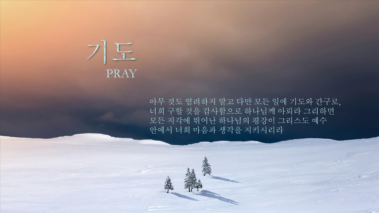 아침기도회 / 2026.2.24 / 요한복음7:37-52
