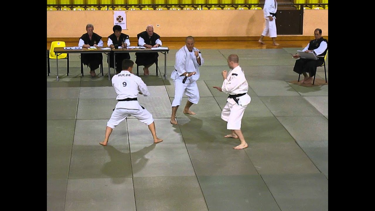 Shorinji Kempo European Taikai 2011 Monaco