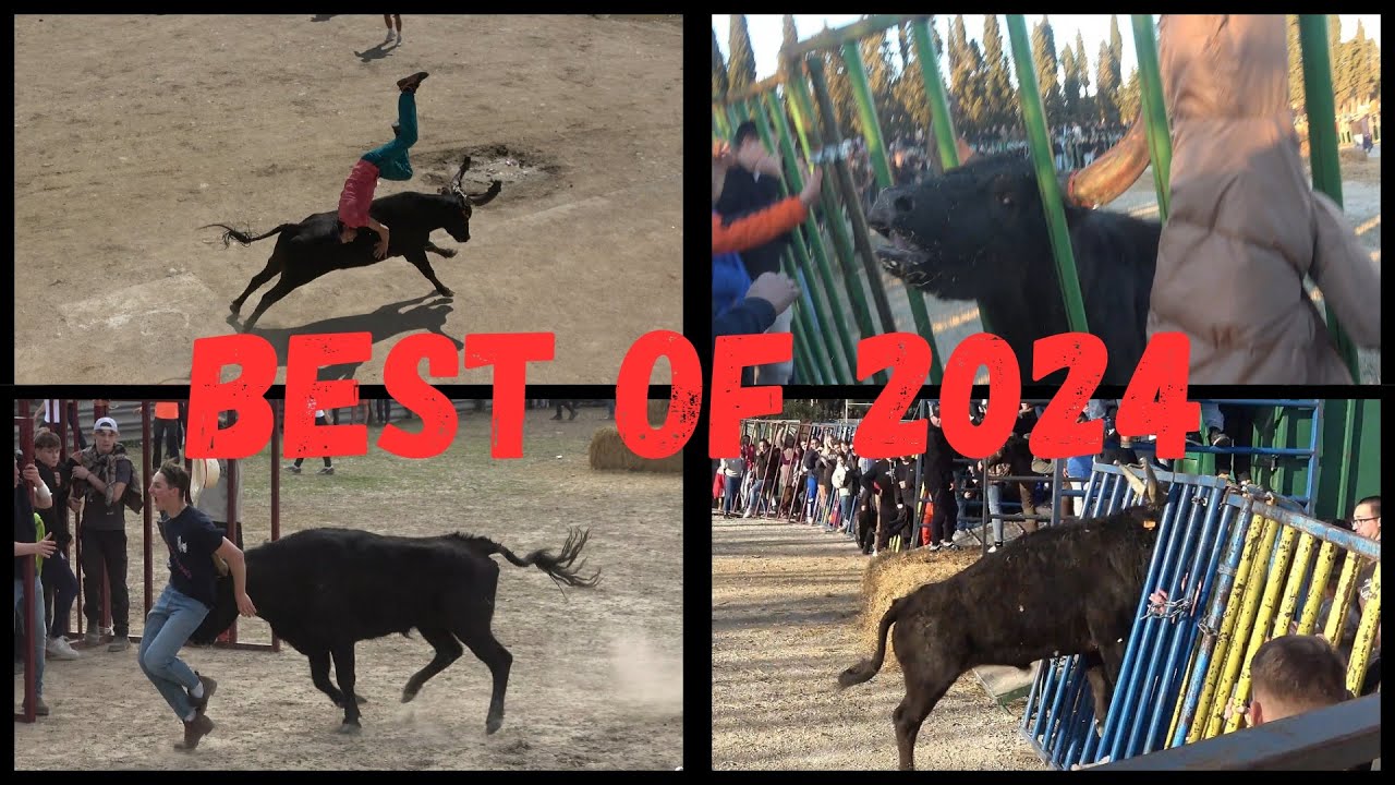 BEST OF 2024 !
