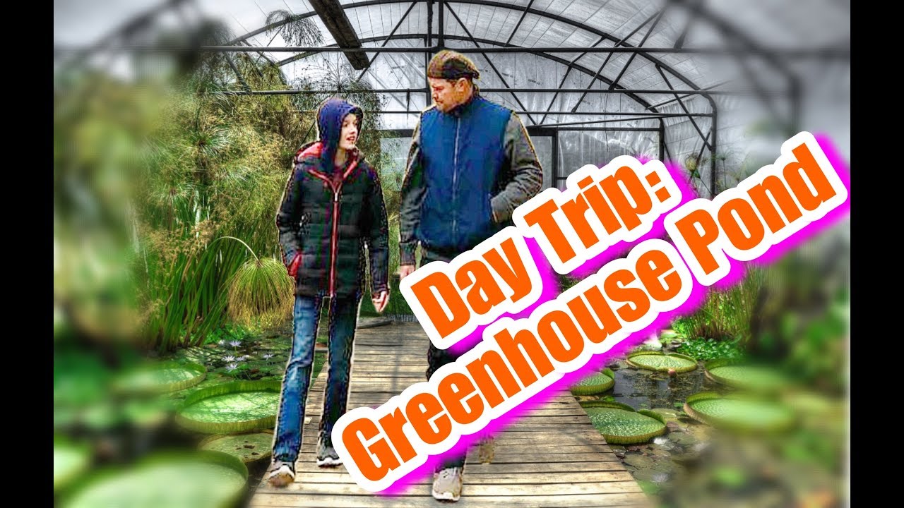 Day Trip: Greenhouse Pond