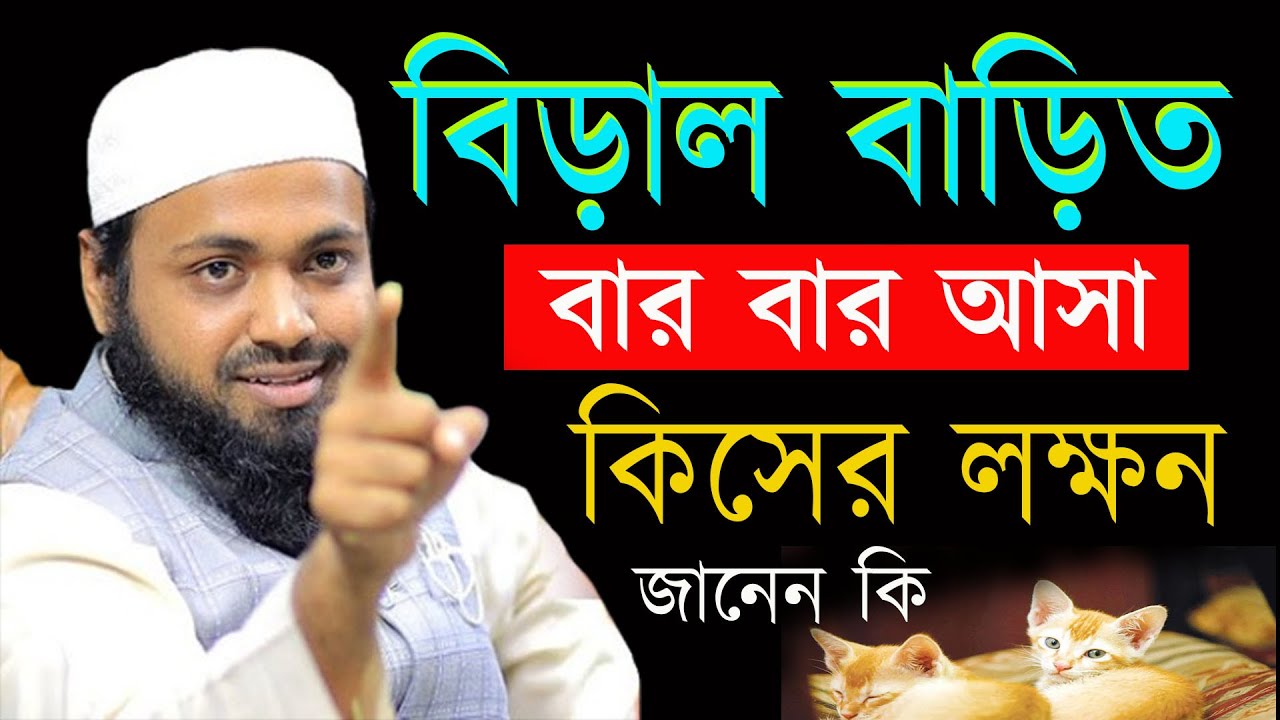 বাড়িতে বিড়াল কেন আসে জানেন কি ? জানলে বুঝতে পারবেন । আরিফ বিন হাবিব 20-01-26 koyhuihkln7